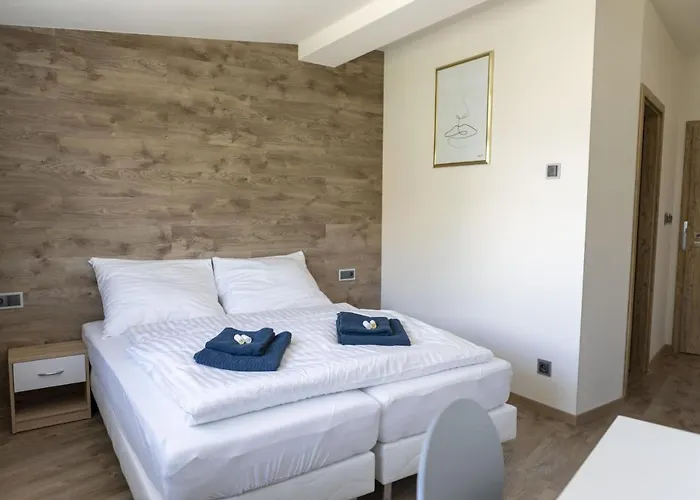 Novohradska 게스트하우스 체스케부데요비체